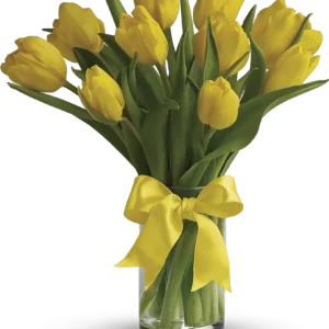10 Yellow Tulips