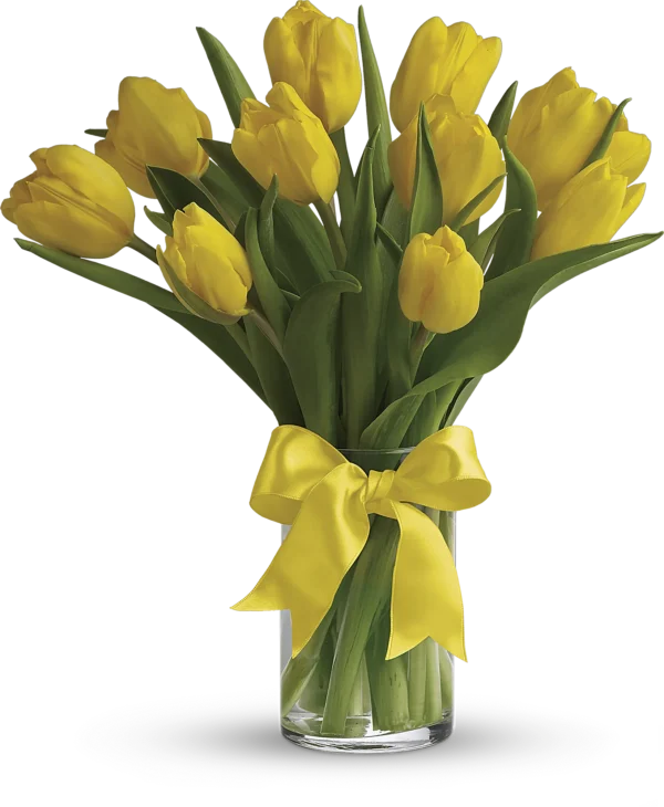 10 Yellow Tulips
