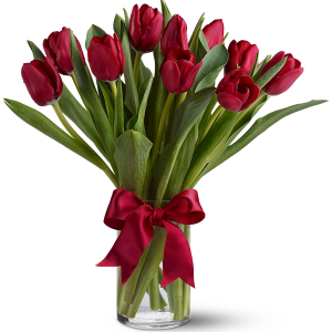Ten Red Tulips