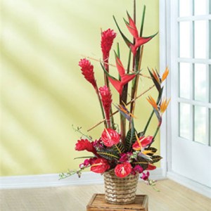 Tropical Reflections