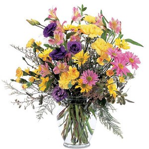 Thoughtful Expressions