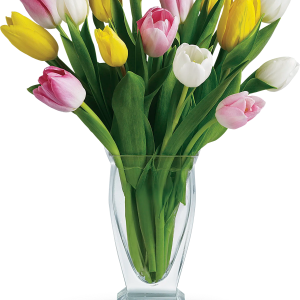 Ten Mixed Tulips