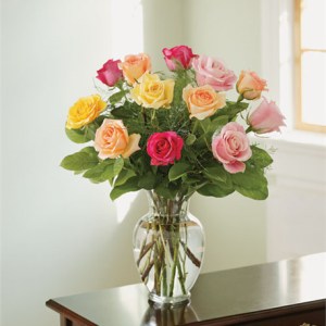 A Dozen Premium Multicolored Roses