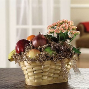 Plant & Fruit Basket